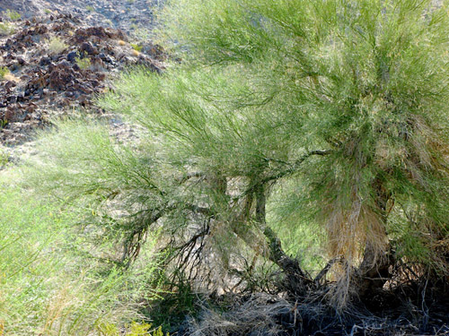 Melanie Heinrich - Travel